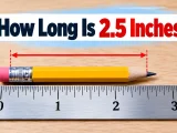 How Long Is 2.5 Inches