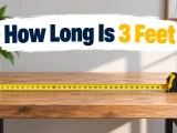 How Long Is 3 Feet
