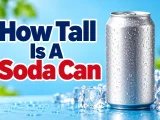 How Tall Is A Soda Can
