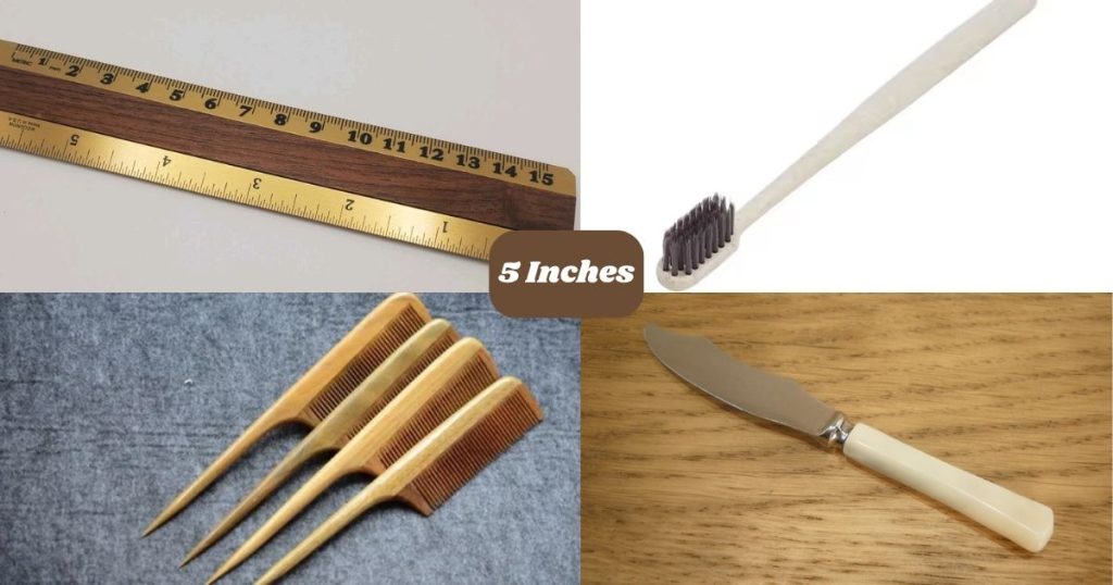 Things That Are 5 Inches Long